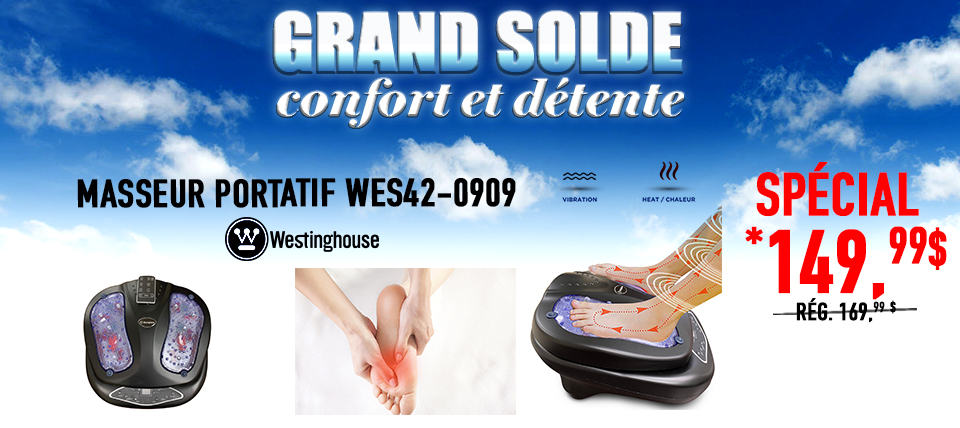 Masseur portatif WES42-0909
