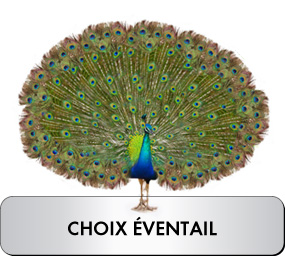 Choix Eventail